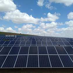 Panel Yonga Petrol